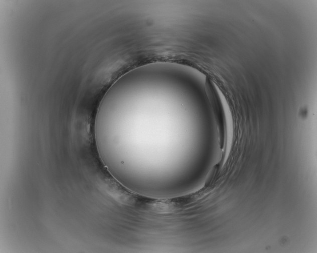 X0000091990615200709061420