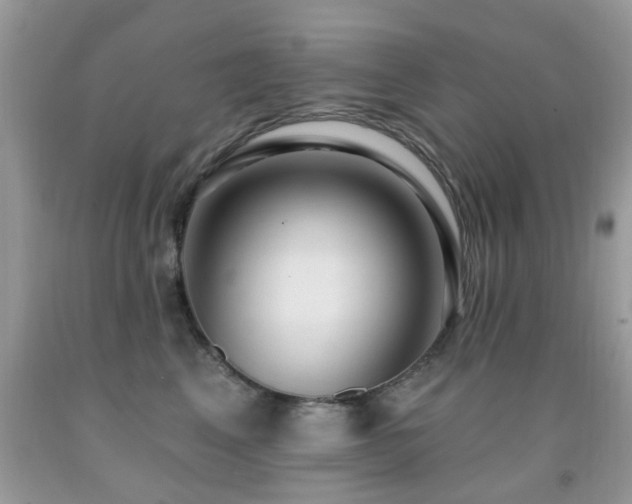 X0000091990617200709061420