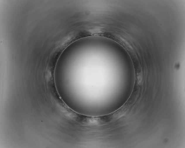 X0000091990618200709061420