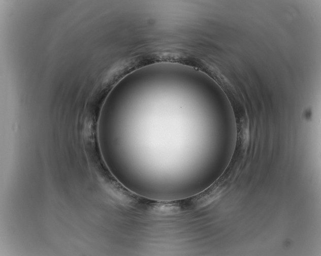 X0000091990619200709061419