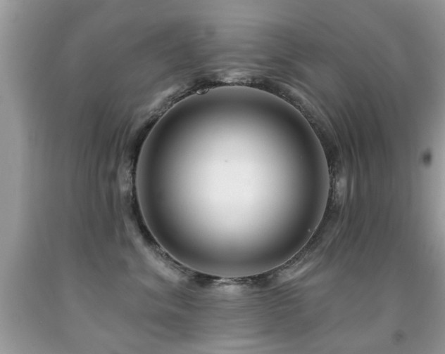 X0000091990620200709061419