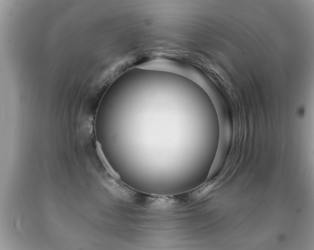 X0000091990621200709061419