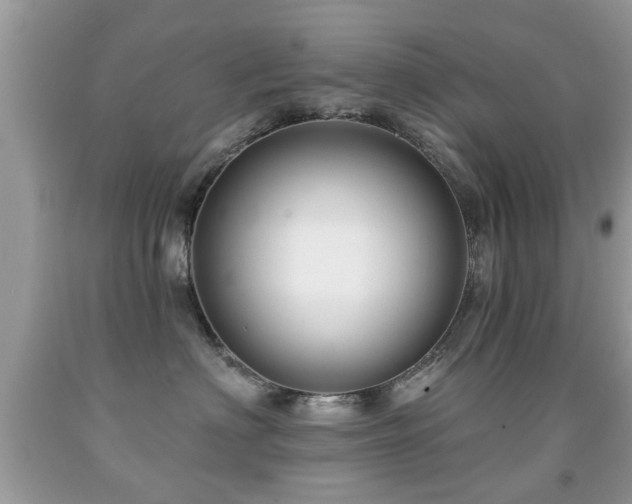 X0000091990622200709061419