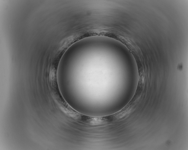 X0000091990623200709061419