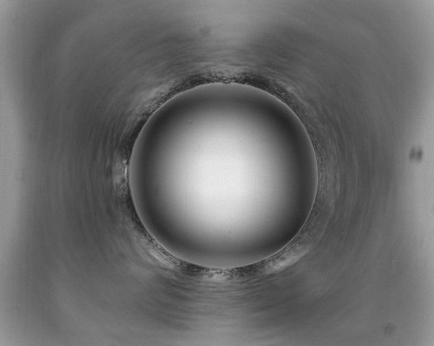 X0000091990624200709061419