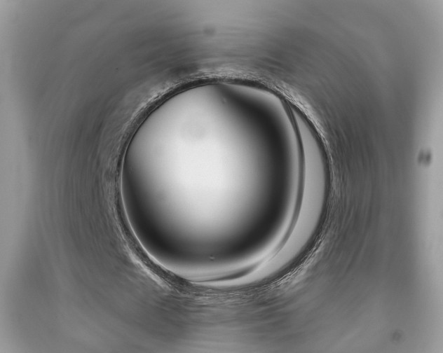 X0000091990625200709061419