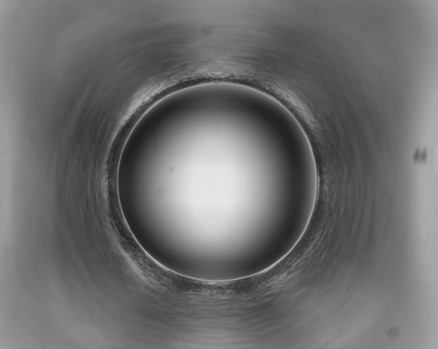 X0000091990626200709061419