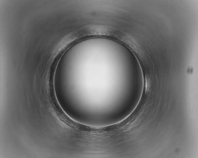 X0000091990627200709061419