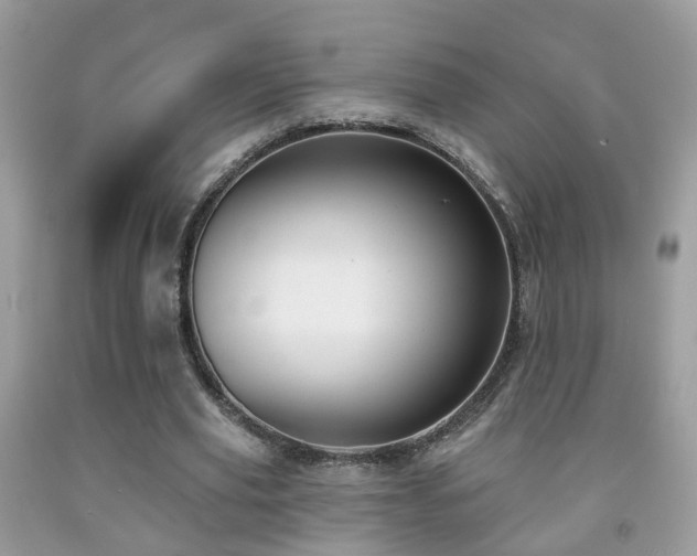 X0000091990629200709061419