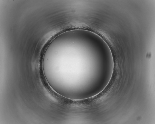 X0000091990630200709061419
