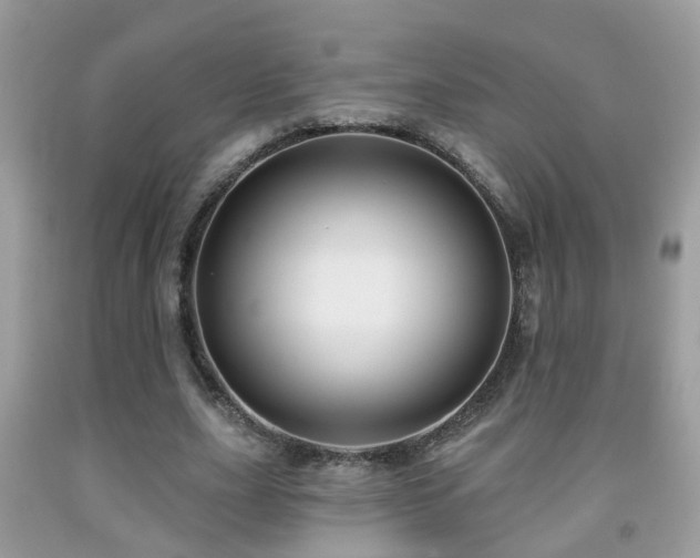X0000091990631200709061419
