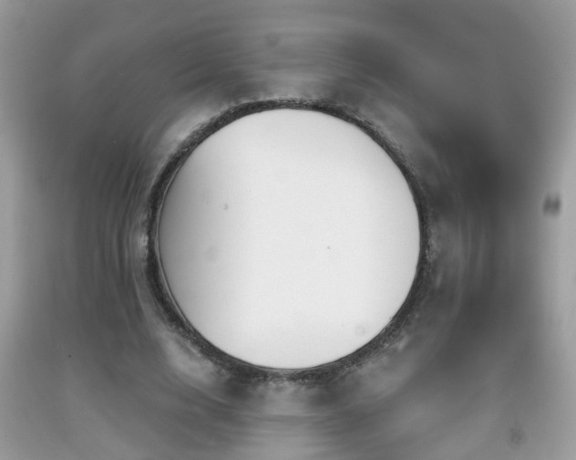 X0000091990632200709061419