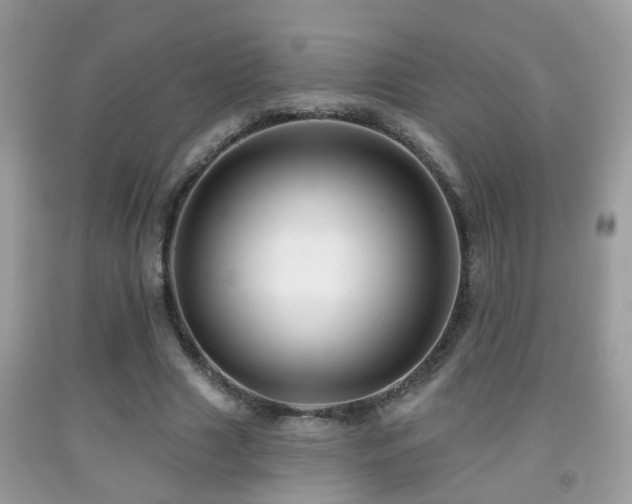 X0000091990633200709061419