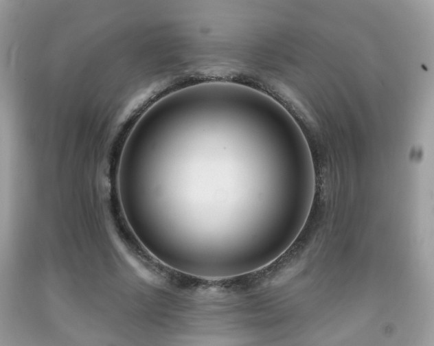 X0000091990634200709061419
