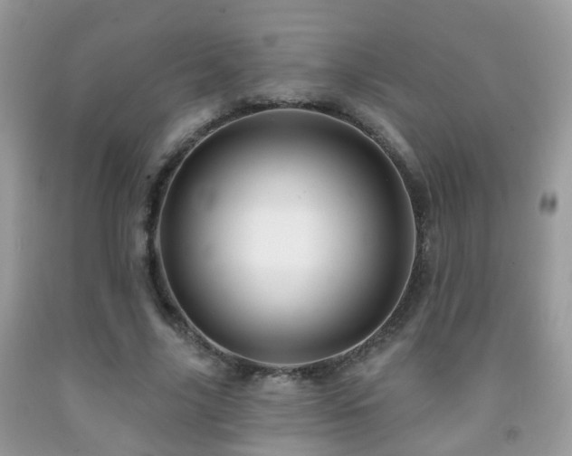 X0000091990635200709061419