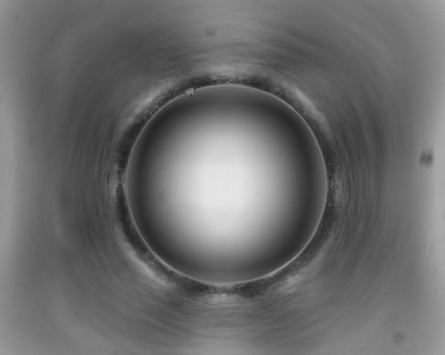 X0000091990637200709061419