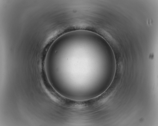 X0000091990638200709061419
