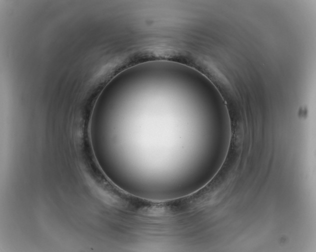 X0000091990639200709061419