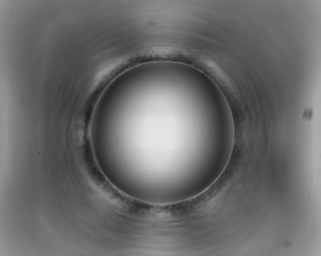 X0000091990640200709061419