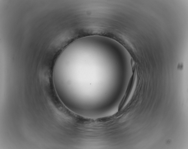 X0000091990643200709061419
