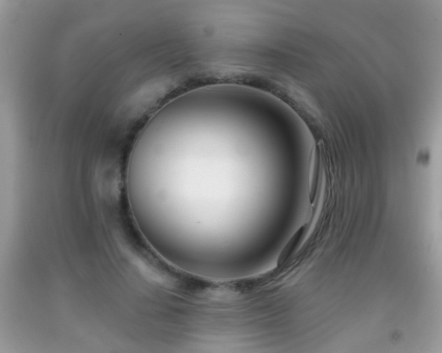 X0000091990644200709061419