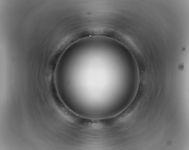 X0000091990645200709061419