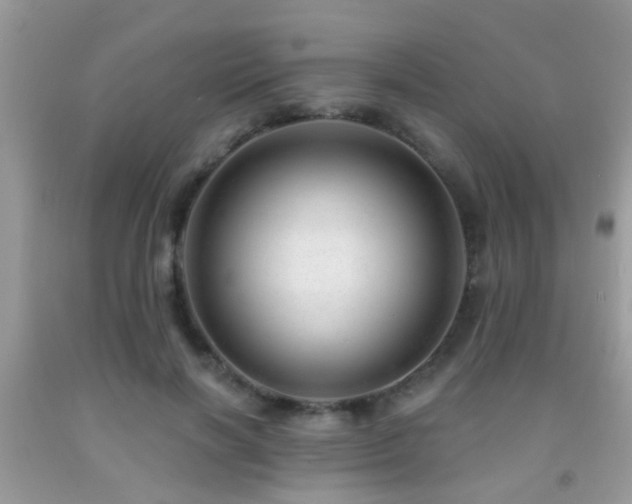 X0000091990646200709061419