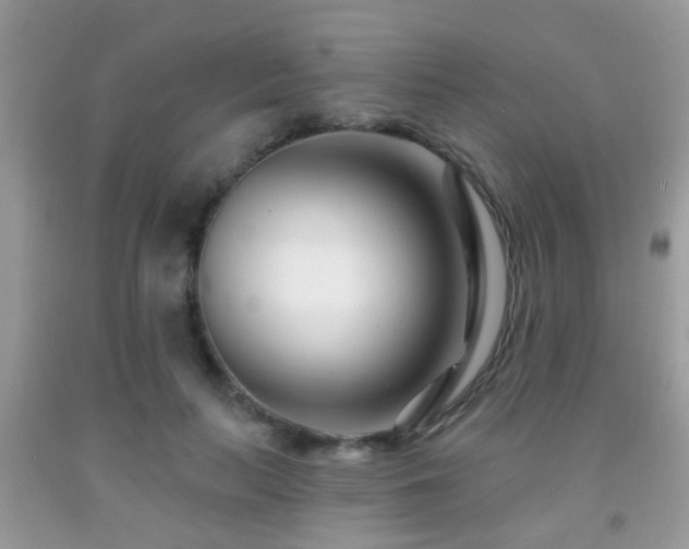 X0000091990647200709061419