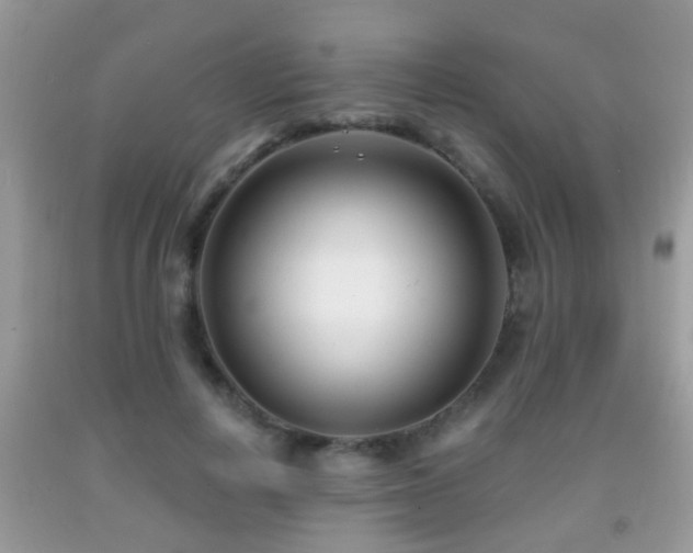 X0000091990648200709061419