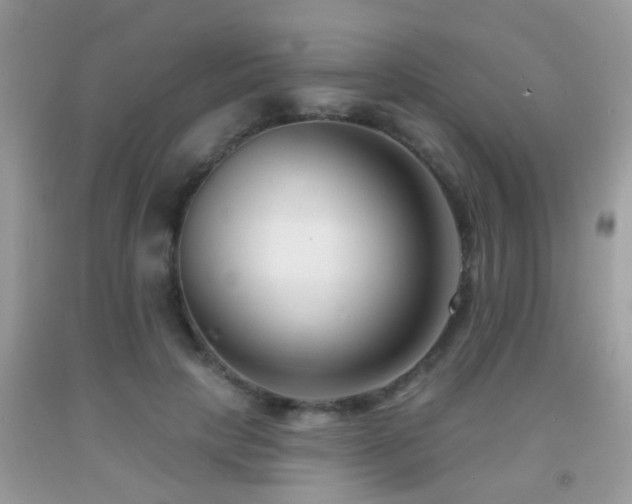 X0000091990649200709061419