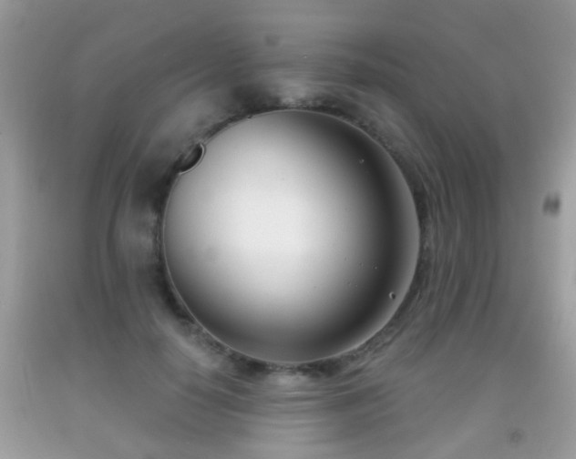 X0000091990650200709061419