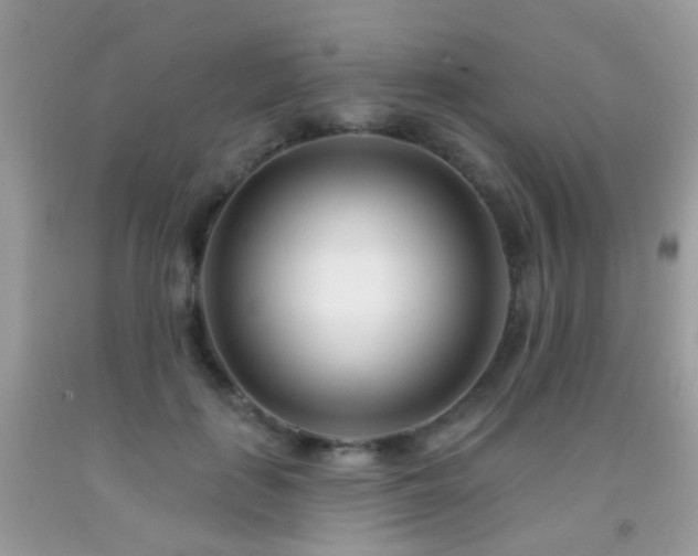 X0000091990651200709061419