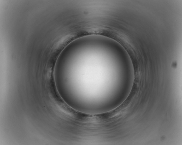 X0000091990652200709061419