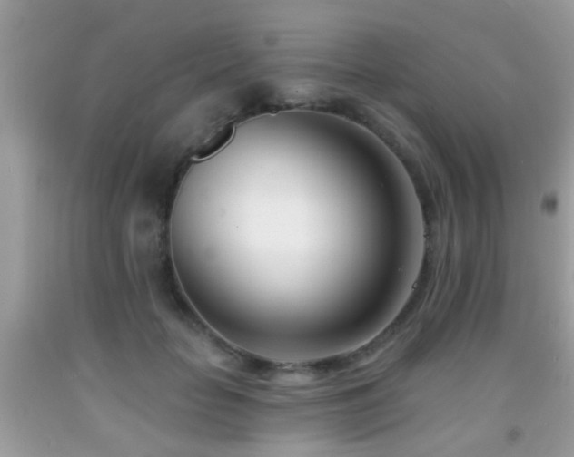 X0000091990653200709061419