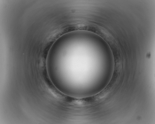 X0000091990654200709061419