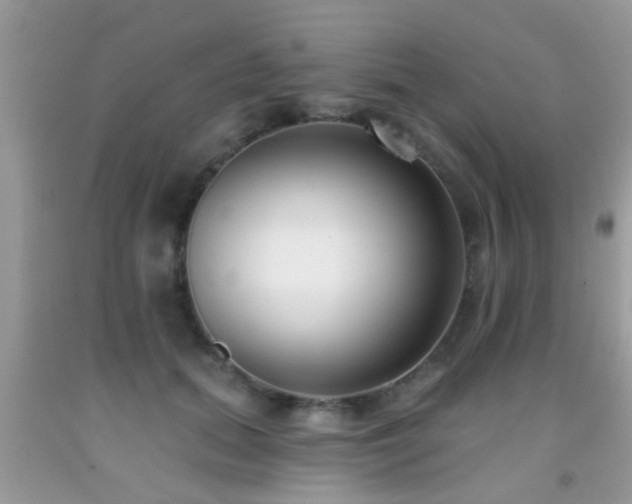 X0000091990655200709061419