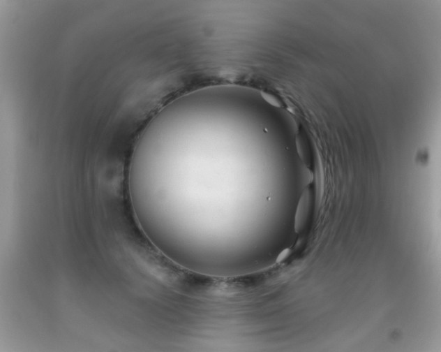 X0000091990656200709061419