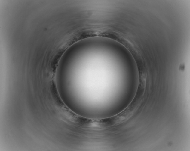 X0000091990657200709061419