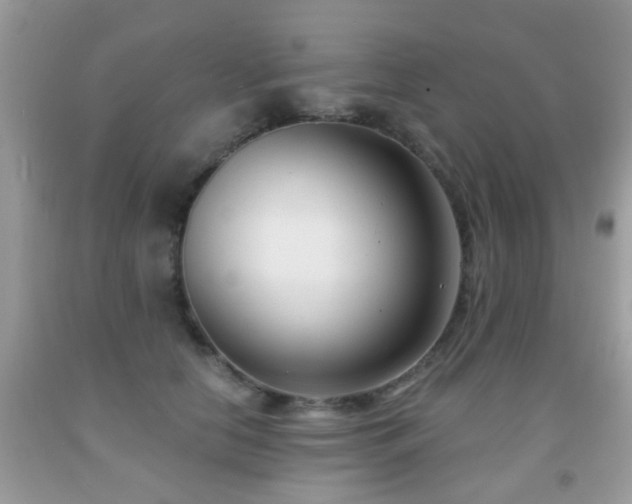 X0000091990658200709061419