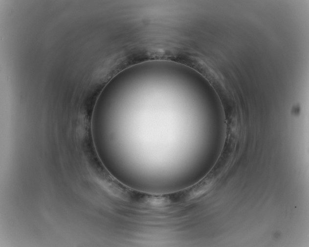 X0000091990659200709061419