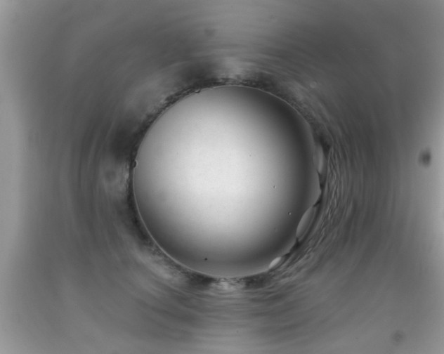 X0000091990660200709061419