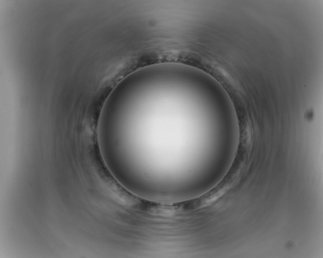 X0000091990661200709061419