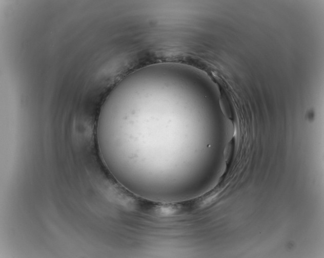 X0000091990662200709061419