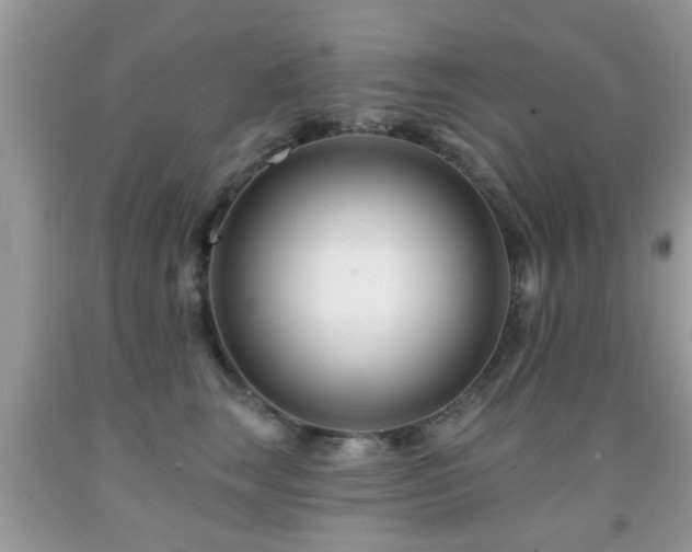 X0000091990663200709061419