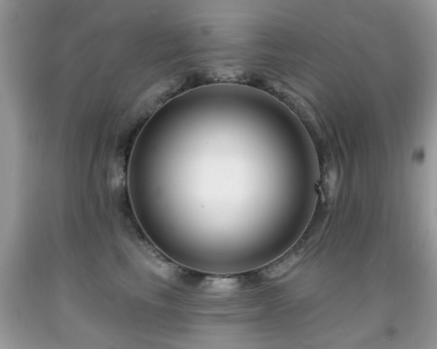 X0000091990665200709061419