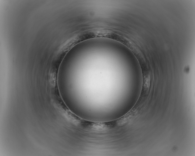 X0000091990666200709061419