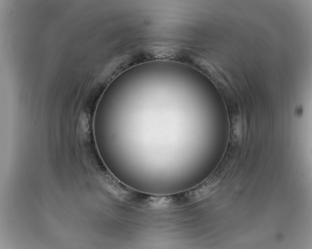 X0000091990667200709061419