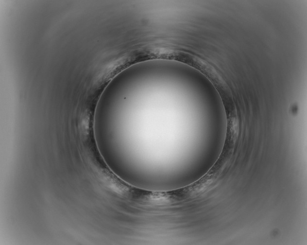 X0000091990668200709061419