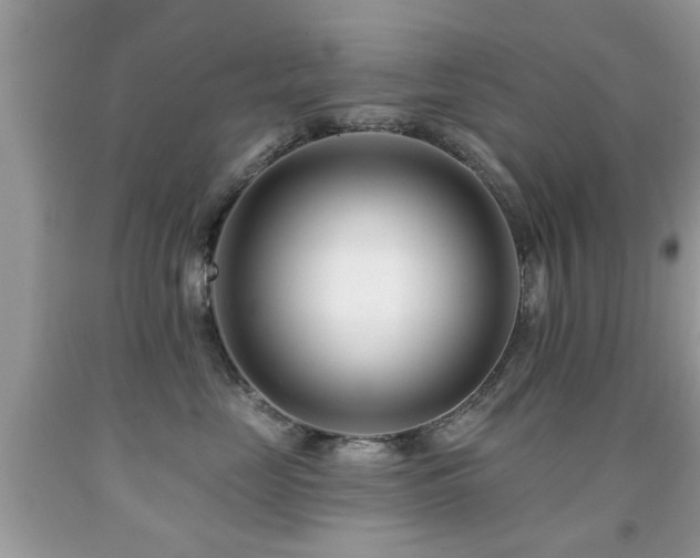 X0000091990669200709061419