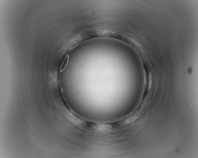 X0000091990670200709061419